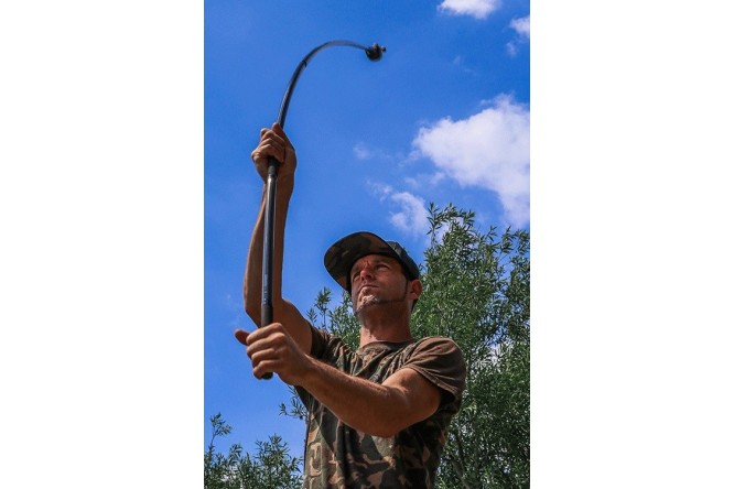 Fox Baiting Pole