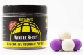 Nutrabaits Winter Berry Alternative Hookbait  Pop Up Range