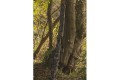 Solar Tackle Undercover Camo 3+2 Rod Holdall 10-12 e 13 ft 