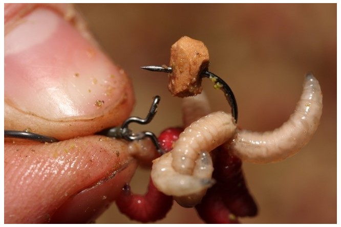 Korda Maggot Clip 