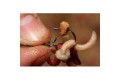 Korda Maggot Clip 