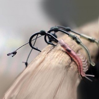 PB Shrimp Aligner  2