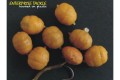 Enterprise Tackle Pop Up Tigernut 