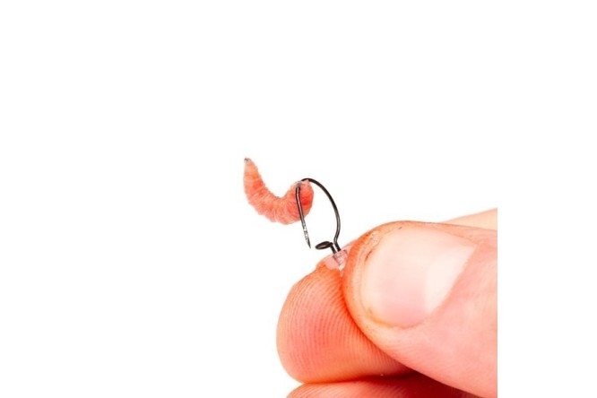 Nash Maggot Screw 