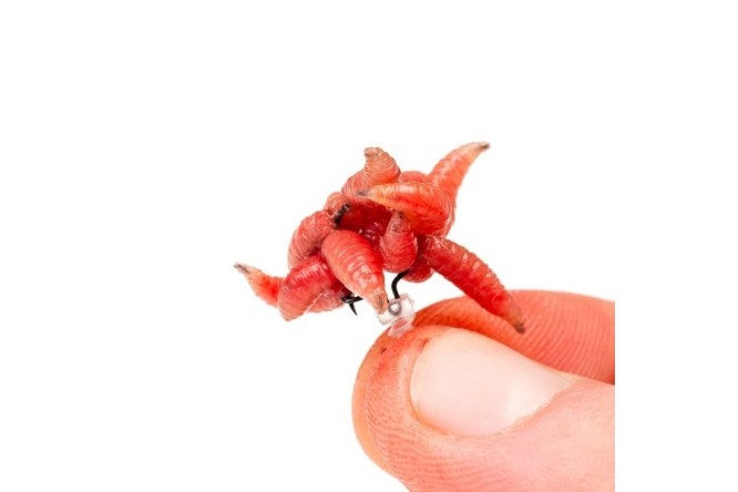 Nash Maggot Screw 