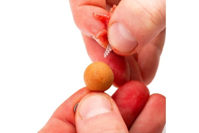 Nash Maggot Screw 