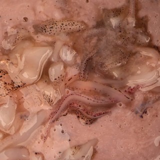 Nash Salted Squid  2