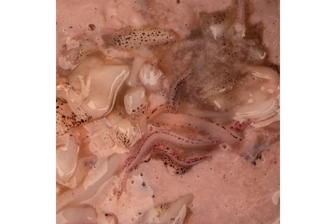 Nash Salted Squid 