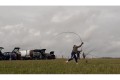 Harrison Trebuchet 13 ft UFR Special Edition
