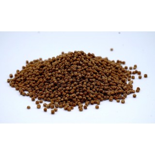 Karma Pellet Match  2