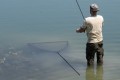 Korda Spring Bow Net 6'