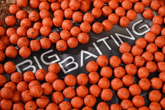 Any Water Big Baiting BLB 20mm