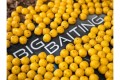 Any Water Big Baiting Banana & Scopex
