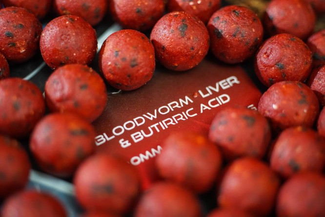 Any Water Top Boilies B.L.B - Bloodworm Liver e Acido Butirrico