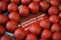 Any Water Top Boilies B.L.B - Bloodworm Liver e Acido Butirrico