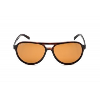 Korda Sunglasses Aviator Tortoise Frame / Brown  2
