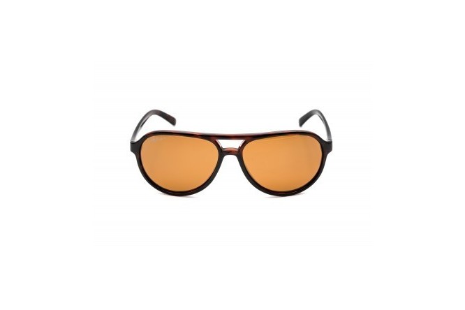 Korda Sunglasses Aviator Tortoise Frame / Brown 