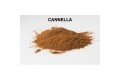 Over Carp Baits Cannella in Polvere