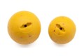Korda Plastic Wafter Essential Cell