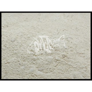 Over Carp Baits Garlic Powder 250 gr