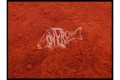 Over Carp Baits Hungarian Paprika 250 gr
