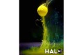 CC Moore NS1 Halo Yellow 