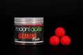 Moontackle Hard Hook Baits 20 mm