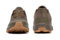 Fox Explorer Trainer
