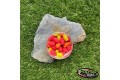 Pop-up Baits GRUB WAFTER Tutti Frutti