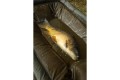 Fox  Carpmaster Welded Cradle