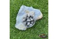 Pop-up Baits GRUB POP-UP Bloodworm & Red Liver