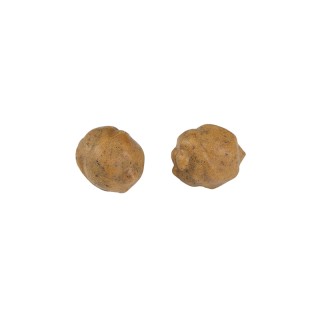 Fox  Edges Tigernuts