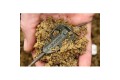 Korda Bait Up Method Feeder