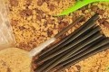 Solid Bag Tail Rubber