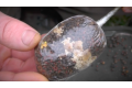 Pva Bag Rig korda