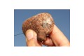 Korda Original Funnel Web PVA System