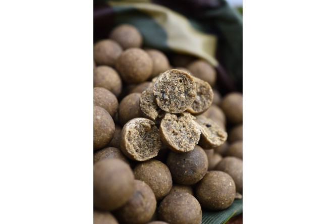 CC Moore Odyssey XXX Boilies