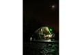 Fox Halo Bivvy Light Lampada da tenda Fox