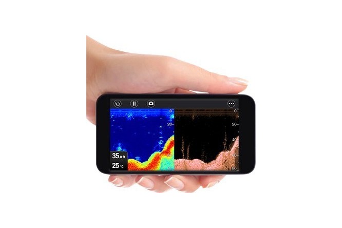 Raymarine Dragonfly 5 PRO CTP DVS - Senza Carta