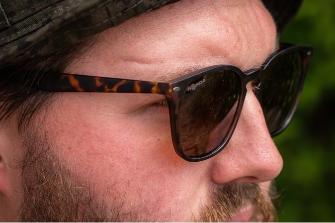 Shoreditch - Matt Toroise Shell/Brown Lens