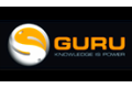 Guru