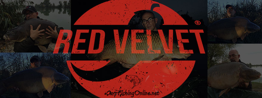 Red Velvet la Boilies di Carpfishingonline.net