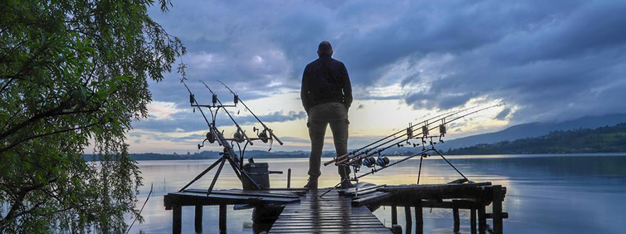 Velvet Bait a Pusiano